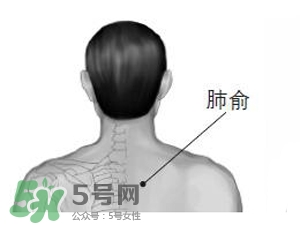 三伏貼能治過敏性鼻炎嗎？三伏貼治過敏性鼻炎貼哪里？