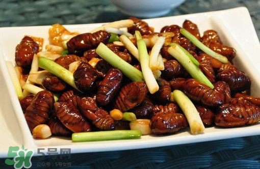 蟬蛹多少錢(qián)一斤？野生蟬蛹多少錢(qián)一斤