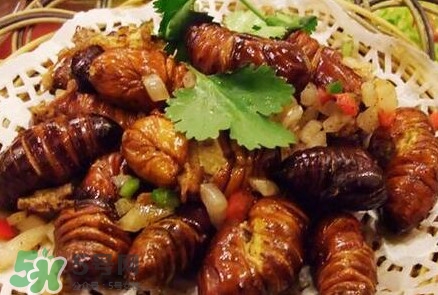 蟬蛹多少錢(qián)一斤？野生蟬蛹多少錢(qián)一斤