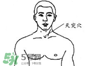 三伏貼能治過敏性鼻炎嗎？三伏貼治過敏性鼻炎貼哪里？