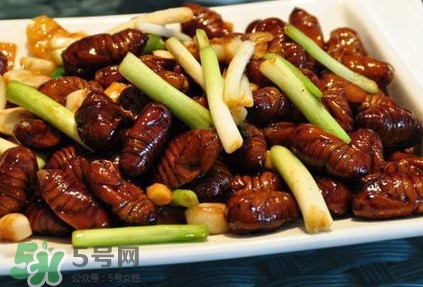 孕婦可以吃蟬蛹嗎？懷孕吃蟬蛹有沒有副作用