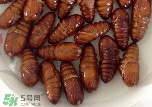 蟬蛹什么時(shí)候出來？蟬蛹什么時(shí)候最多