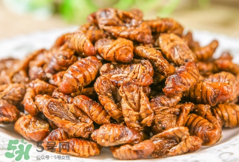 蟬蛹可以多吃嗎？蟬蛹多吃會(huì)怎么樣？
