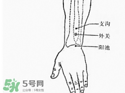 三伏貼能治過敏性鼻炎嗎？三伏貼治過敏性鼻炎貼哪里？