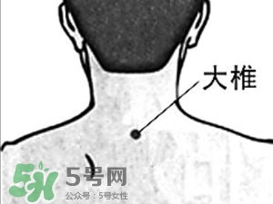 三伏貼能治過敏性鼻炎嗎？三伏貼治過敏性鼻炎貼哪里？