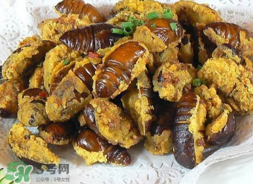 水煮蟬蛹怎么做？蟬蛹煮多久可以熟？
