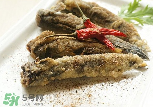 彈涂魚是兩棲動物嗎？彈涂魚營養(yǎng)價值有哪些