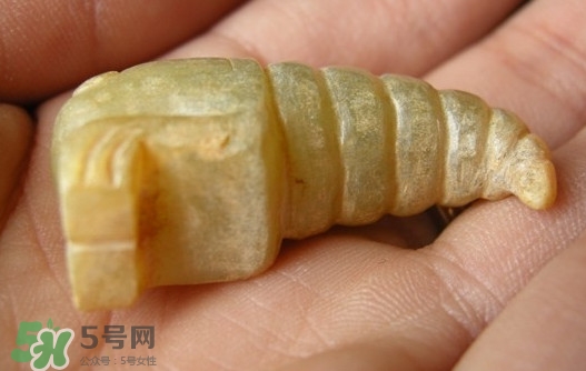 蟬蛹能吃嗎？蟬蛹怎么做好吃