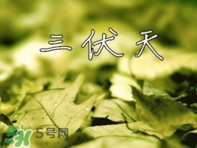 三伏天怎么坐月子？三伏天坐月子要注意什么？