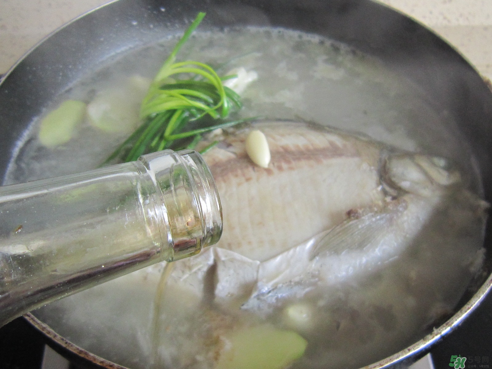 三伏灸可以吃魚嗎？三伏灸可以吃什么魚？