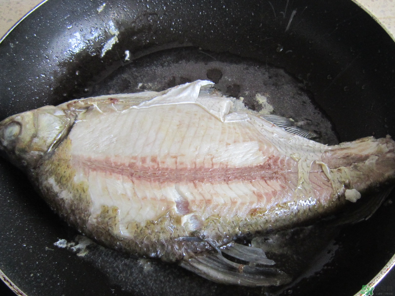 三伏灸可以吃魚嗎？三伏灸可以吃什么魚？