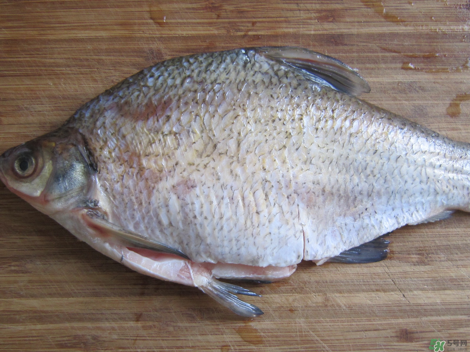 三伏灸可以吃魚嗎？三伏灸可以吃什么魚？