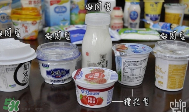 什么牌子的酸奶好？每天喝酸奶好還是純牛奶好