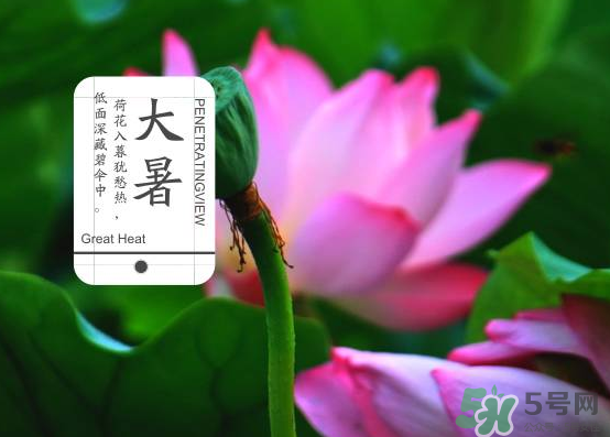 大暑和處暑是什么意思？大暑熱還是處暑熱？