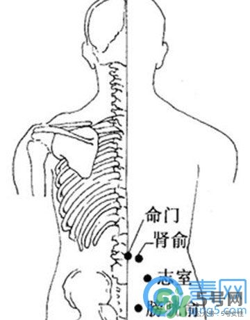 三伏灸可以治腰腿痛嗎？三伏灸治腰腿痛灸哪里》
