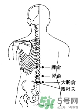 三伏灸可以治腰腿痛嗎？三伏灸治腰腿痛灸哪里》