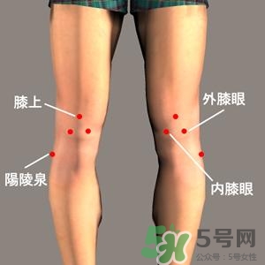 三伏灸可以治腰腿痛嗎？三伏灸治腰腿痛灸哪里》