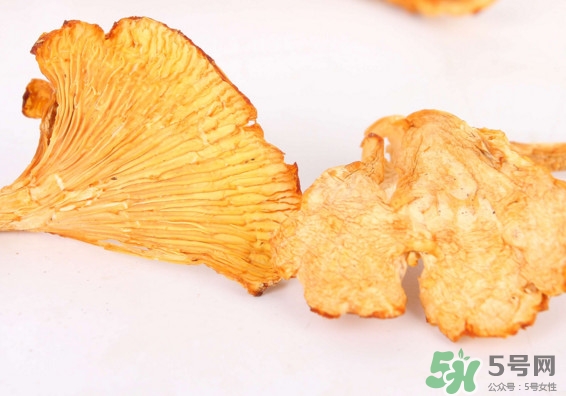 雞油菌多少錢一斤？雞油菌和雞樅菌有什么區(qū)別