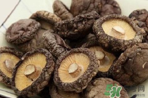 香菇是蘑菇嗎？香菇和蘑菇有什么區(qū)別