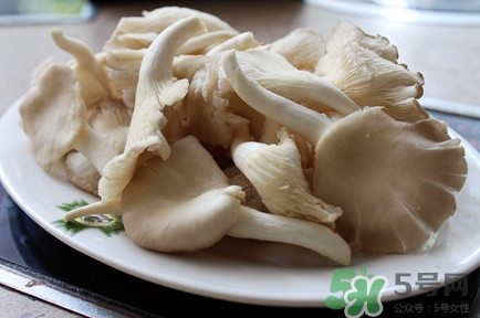 平菇怎么吃最有營養(yǎng)？平菇長白毛還能吃嗎