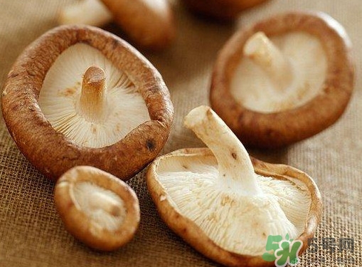 買香菇怎么挑選？干香菇怎么挑選？