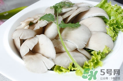 平菇怎么吃最有營養(yǎng)？平菇長白毛還能吃嗎