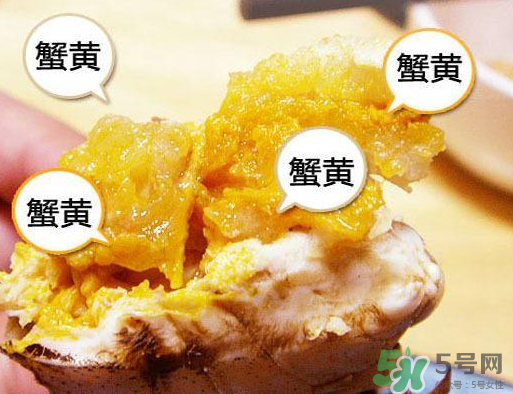 六月黃大閘蟹好吃嗎？六月黃和大閘蟹有什么區(qū)別？