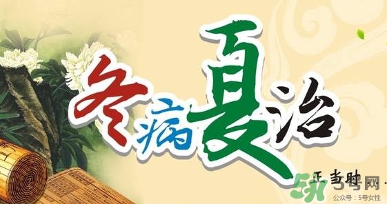三伏灸要灸幾次？三伏灸要灸多久？
