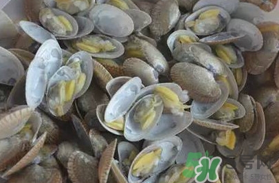 花蛤蜊什么時候最肥？花蛤蜊怎么挑選