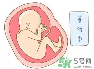 胎位不正能順產(chǎn)嗎？胎位不正怎么辦？