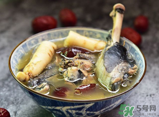 三伏天可以吃人參嗎？三伏天吃人參好嗎？