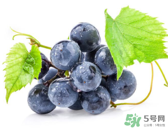 夏黑葡萄為什么掉色？夏黑葡萄怎么會(huì)染色？