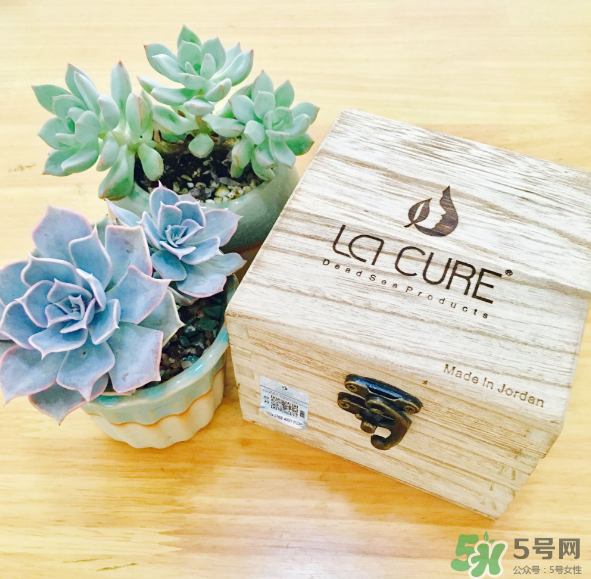 天然死海礦物泥面膜怎么樣？天然死海礦物泥面膜好用嗎？