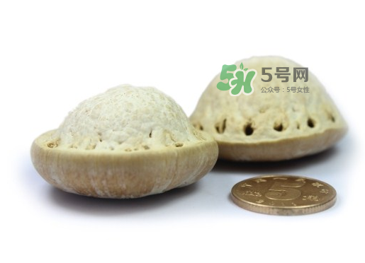 風(fēng)流果泡酒要不要敲碎？壯陽果泡水要不要敲碎？