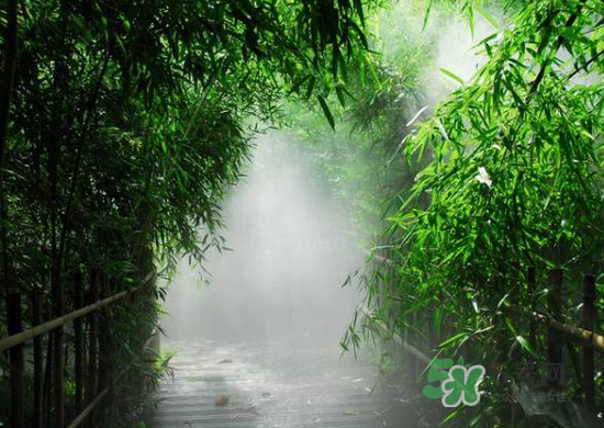 2017大暑會不會下雨？2017大暑下雨好嗎？