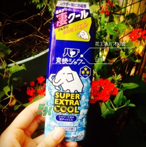 花王kao冰片沐浴露怎么樣？花王冰片沐浴露哪款好？