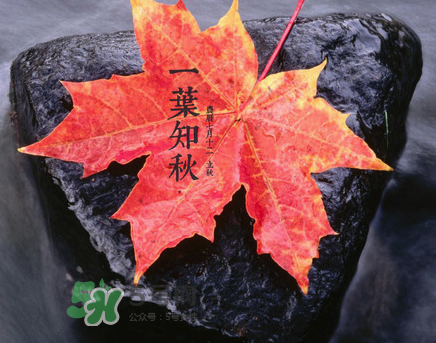 立秋后就是秋天了嗎？立秋后就涼快了嗎？