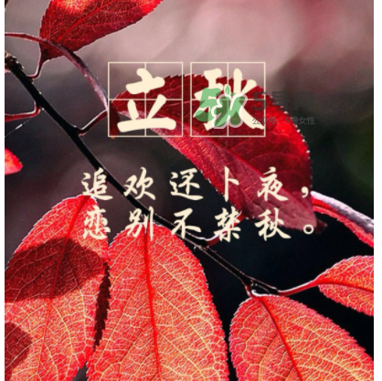 立秋后就是秋天了嗎？立秋后就涼快了嗎？