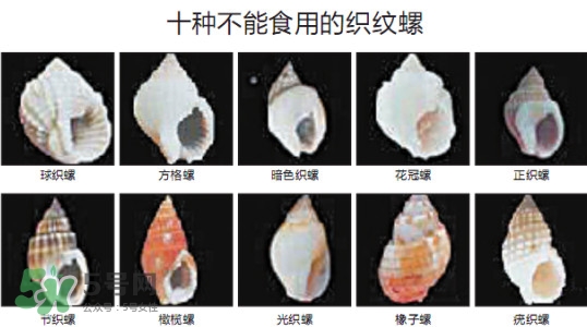 哪些人不能吃田螺？哪些田螺不能吃