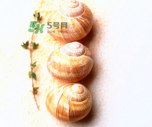 田螺是寒性的嗎？田螺煮多久殺死寄生蟲(chóng)