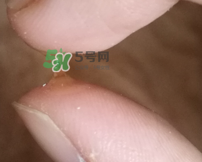 SKINCEUTICALS修麗可夜間精華怎么樣_好用嗎？