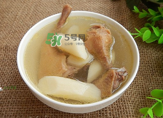 三伏天能吃鴿子嗎？三伏天能喝鴿子湯嗎？