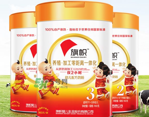 旗幟奶粉怎么樣？旗幟奶粉好不好？