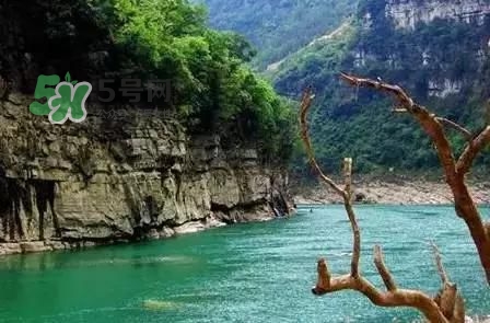 漂流需要準(zhǔn)備什么東西？漂流哪里最好玩？