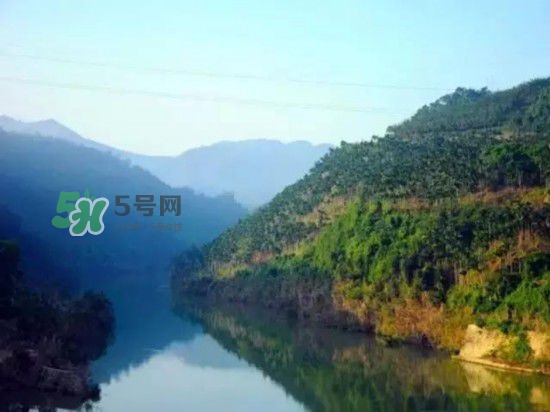 漂流需要準(zhǔn)備什么東西？漂流哪里最好玩？