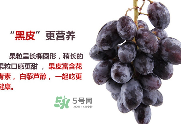 紅提好吃還是黑提好吃？黑提對身體有什么好處