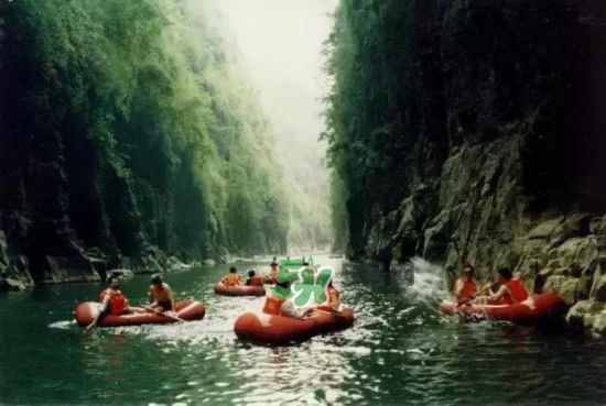 漂流需要準(zhǔn)備什么東西？漂流哪里最好玩？