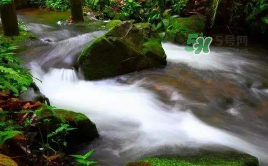 漂流需要準(zhǔn)備什么東西？漂流哪里最好玩？