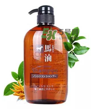 熊野馬油洗發(fā)水起頭屑嗎？KUMANO洗發(fā)水用完長頭屑嗎？