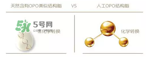 奶粉里面的OPO是什么？opo是天然的還是后期添加的？